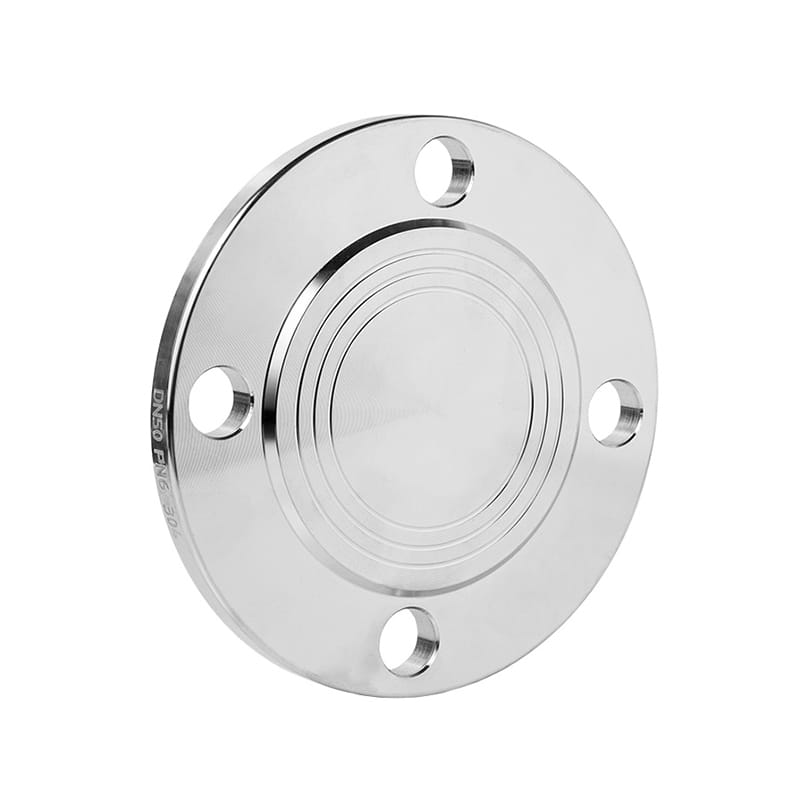 Stainless Steel Pipe Blind Flange Fittings Used For Isolating A Pipe